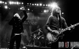 Switchfoot 2012