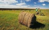 Fairbairn Capital joBerg2c - The New Amazing Race 