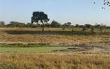 Hwange National Park via Hunters Road 