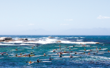 SA Leads in Surfski Paddling