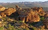 Leopard Tracking in the Cedarberg