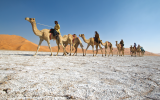 An Arabian Desert Adventure