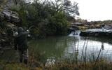 Vegetarian Trout in the Karoo