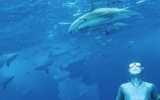 Of Mermaids and Warriors Of Mermaids and Warriors