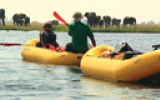 Paddling the Chobe