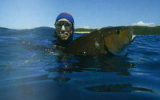 Spear Fishing - Lets Kill the Myths, not the Sport 