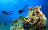Scuba – The Sport that’s Shaping Top Celebs