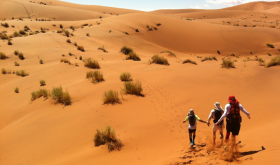 Taking on the Namib Desert Challenge