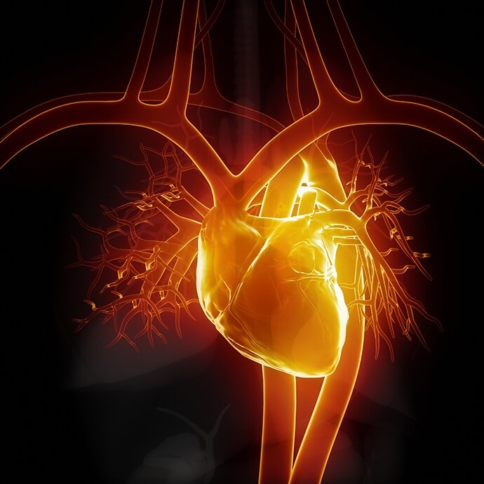 Save Seven Lives this August, Organ Donor Month Save Seven Lives this August, Organ Donor Month