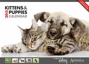 Exclusive Animaltalk 2015 Calendar in aid of Wetnose Animal Rescue Centre