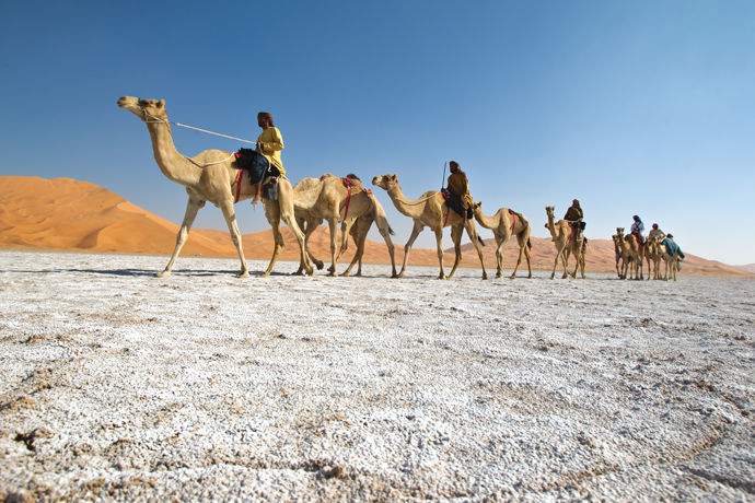 An Arabian Desert Adventure
