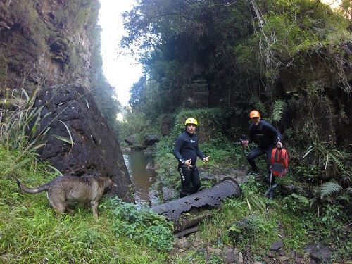 In search of waterfalls.