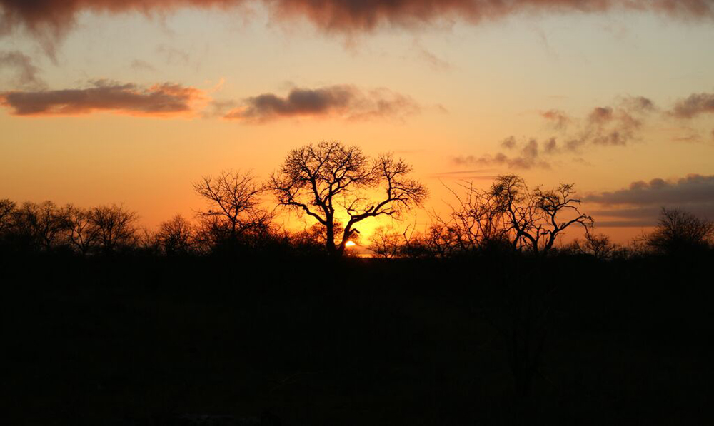 An African sunrise sets up another fantastic day in the bush. 