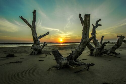 Beautiful sunset over Pomene, Mozambique Photo: Altus Kotze