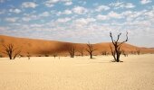 Walking around the dead vlei.