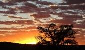 Kalahari, lions, africa, travel, Kaspersdraai waterhole, wildlife, Twee Rivieren, Nossob camps