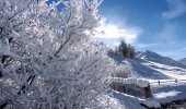Livigno, a winter wonderland