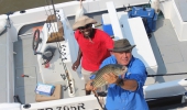 Hunt tigers on Lake Jozini