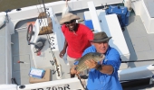 Hunt tigers on Lake Jozini