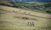 Pronutro AfricanX Trailrun stage one route announced