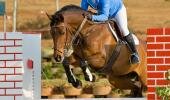 Equestrian Show Jumping- 14th Annual Spring Youth Extravaganza