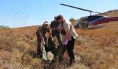 Powers and Dr's Bartels and La Grange unload brandy from the chopper