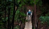 Riders in action during the 2014 FNB Wines2Whales MTB Events. 