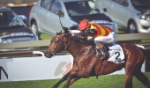 Summer Garden at the Gauteng SANSUI Summer Cup – the More Jozi horse race! 28 November 2015 