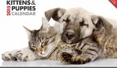 2015 Kittens & Puppies calendars are perfect stocking fillers