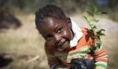 Planting trees at Linda Farm.