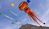 The 20th Cape Town International Kite Festival, proudly hosted by Cape Mental Health, will take place in Muizenberg on 1 & 2 November 2014. 