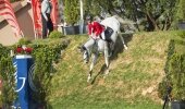 The Galencia Property South African Derby: Equestrian excellence set to excel