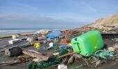 Huge turnout for 28th International Coastal Cleanup Day