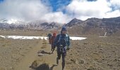 Ben Southall (UK), Luke Edwards (AU), and Patrick Kinsella (UK) – aka The Global Adventurers – have completed a world-record setting challenge of running the nine Great Walks of New Zealand back to back.