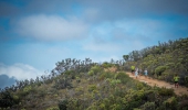 Trail runners in action during the 2015 AfricanX Trailrun presented by ASICS. 