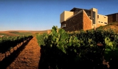 Celebrate International Pinotage Day at Durbanville Hills Wines