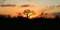 An African sunrise sets up another fantastic day in the bush. 