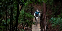 Riders in action during the 2014 FNB Wines2Whales MTB Events. 