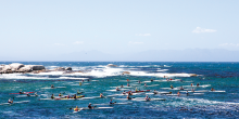 SA Leads in Surfski Paddling