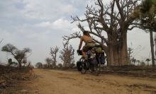 Touring through baobab country 