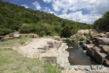 Jo’burg’s Biggest and Best Parks