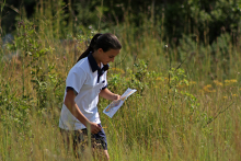 The Competitiveness of Orienteering