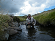 River Therapy