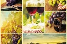 In review: My Wine Route South Africa, by Mike Froud In review: My Wine Route South Africa, by Mike Froud
