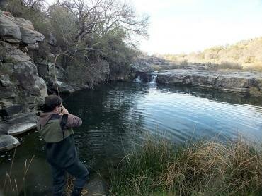 Fishing, The Angler & Antelope, karoo bush, savannah, trout