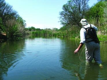 Paul’s River Pisces