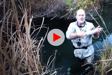 Video: A River Runs Through the Karoo - The Perfect Release