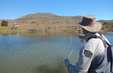 Casting to rising fish