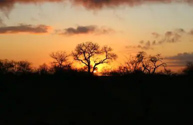 An African sunrise sets up another fantastic day in the bush. 