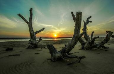 Photo: Altus Kotze